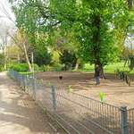 Hundeauslaufgebiet-Oederalle Hundeauslauf-Bild