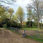 Hundeauslaufgebiet-Südring-Bild