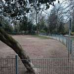 Hundeauslaufgebiet-Florapark-Bild