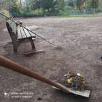 Hundeauslaufgebiet-Florapark-Bild