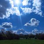 Hundeauslaufgebiet-Nachbarschaftspark-Bild