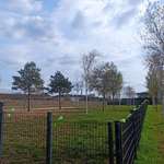 Hundeauslaufgebiet-Maurice-Ravel-Park-Bild