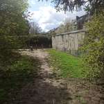 Hundeauslaufgebiet-Merkurstraße-Bild