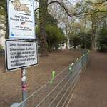 Hundeauslaufgebiet-Im Hofgarten-Bild