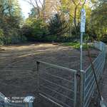 Hundeauslaufgebiet-Florapark-Bild