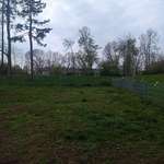 Hundeauslaufgebiet-Aquazoo-Bild