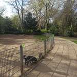 Hundeauslaufgebiet-Florapark-Bild