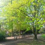 Hundeauslaufgebiet-Hanielpark-Bild