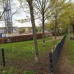 Hundeauslaufgebiet-Sonnenpark-Bild