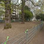 Hundeauslaufgebiet-Im Hofgarten-Bild