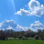 Hundeauslaufgebiet-Nachbarschaftspark-Bild