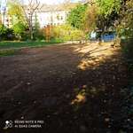 Hundeauslaufgebiet-Florapark-Bild