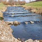 Hundeauslaufgebiet-Am Brückerbach-Bild