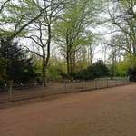 Hundeauslaufgebiet-Volksgarten-Bild