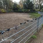 Hundeauslaufgebiet-Florapark-Bild