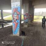 Hundeauslaufgebiet-Am Brückerbach-Bild