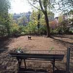 Hundeauslaufgebiet-Hanielpark-Bild