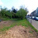 Hundeauslaufgebiet-Hansaplatz-Bild