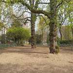 Hundeauslaufgebiet-Im Hofgarten-Bild