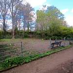 Hundeauslaufgebiet-Südring-Bild