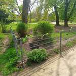 Hundeauslaufgebiet-Oederalle Hundeauslauf-Bild