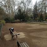 Hundeauslaufgebiet-Florapark-Bild