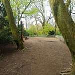 Hundeauslaufgebiet-Volksgarten-Bild