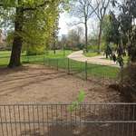 Hundeauslaufgebiet-Oederalle Hundeauslauf-Bild