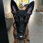 Ersteller:in Victoria Profilbild