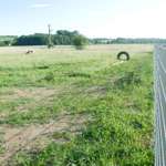 Hundeauslaufgebiet-Hundewiese Aunkirchen-Bild