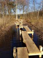 Hundeauslaufgebiet-Würmsee-Bild