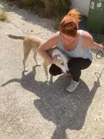 Suchmeldung-Buddy-Bild