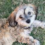 Ersteller:in Stephanie Profilbild