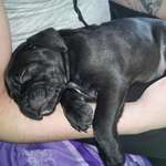 Ersteller:in Samira Profilbild