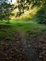 Hundeauslaufgebiet-Hülser Heide-Bild