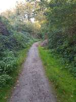 Hundeauslaufgebiet-Hülser Heide-Bild