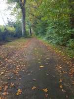 Hundeauslaufgebiet-Hülser Heide-Bild