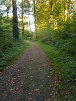 Hundeauslaufgebiet-Hülser Heide-Bild