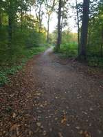 Hundeauslaufgebiet-Hülser Heide-Bild