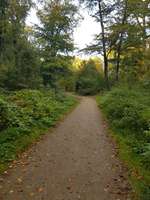 Hundeauslaufgebiet-Hülser Heide-Bild