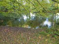 Hundeauslaufgebiet-Hülser Heide-Bild