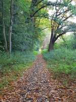 Hundeauslaufgebiet-Hülser Heide-Bild