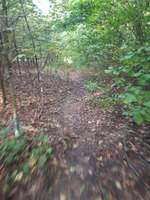 Hundeauslaufgebiet-Hülser Heide-Bild