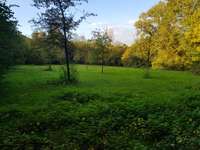 Hundeauslaufgebiet-Hülser Heide-Bild