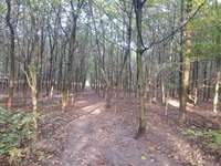 Hundeauslaufgebiet-Hülser Heide-Bild