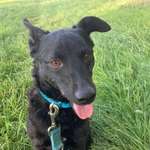 Ersteller:in Julia Profilbild