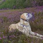 Ersteller:in Sophie Profilbild