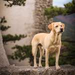 Ersteller:in Sophie Profilbild