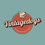 Ersteller:in Vintagedogs Profilbild