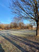 Hundeauslaufgebiet-Große Wiese vor dem Abenteuerspielplatz-Bild